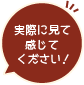 実際に見て感じてください！