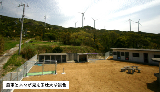 風車と木々が見える壮大な景色