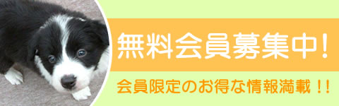 無料会員募集中