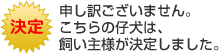 こちらの子犬は飼い主様が決定しました